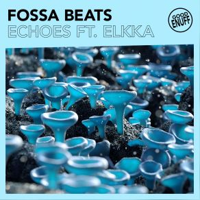 Download track Echoes Elkka, Fossa Beats