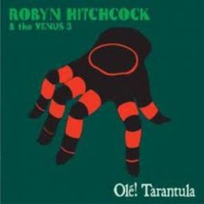 Download track The Authority Box Robyn Hitchcock & The Venus 3