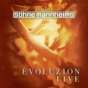 Download track Iz On Soehne Mannheims