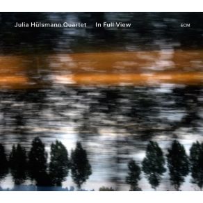 Download track In Full View Julia Hülsmann Quartet