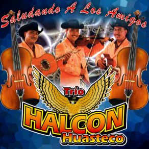 Download track Corrido De Vicente Sanchez Trio Halcon Huasteco
