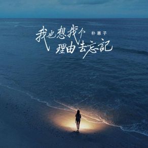 Download track 我也想找个理由去忘记 (伴奏) 朴惠子