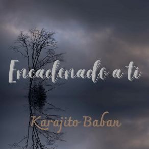 Download track Vibraciones Silenciosas Karajito Baban