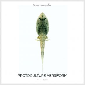 Download track Valley Of The Red Gods Protoculture