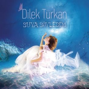 Download track Bana Bir Aşk Masalından (Klip Versiyon) Dilek Türkan