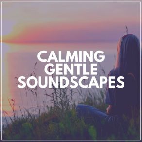 Download track Soundscapes For Gentle Warmth, Pt. 12 Epic Soundscapes