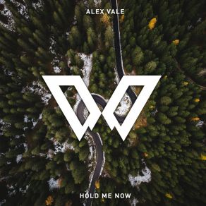 Download track Hold Me Now (Extended Mix) Alex Vale