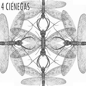 Download track Claviceps 4 Ciénegas