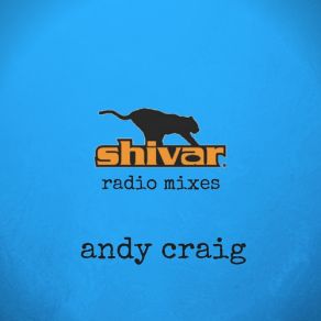 Download track Out Of Touch (Radio Mix) Andy Craig