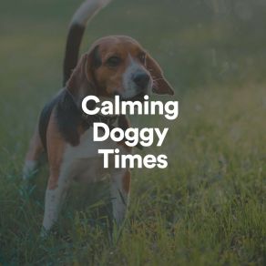Download track Calming Doggy Times, Pt. 14 Calming For Dogs