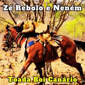 Download track Toada Boi De Fora Zé Rebolo E Neném