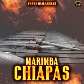 Download track Fijate Que Si Marimba Chiapas