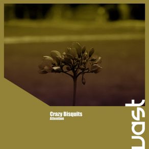 Download track Attention (Extended Mix) Crazy Bisquits