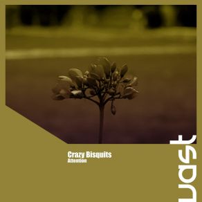 Download track Attention (Radio Edit) Crazy Bisquits