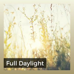 Download track Daylight Meditative Music Guru