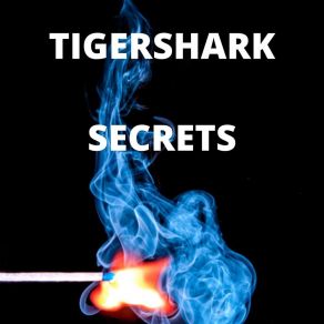 Download track Forever Highway Tigershark