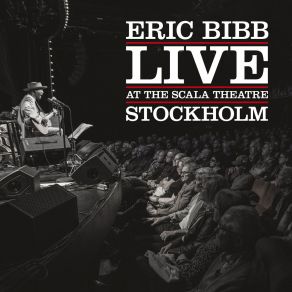 Download track 500 Miles Eric Bibb