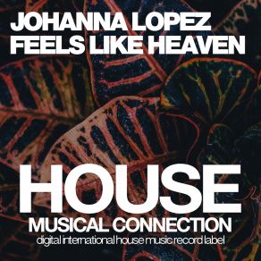 Download track Feels Like Heaven (Dub Mix) Johanna Lopez