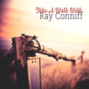 Download track Walkin' The Bop Again Ray Conniff