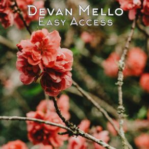 Download track Find Solution Devan Mello