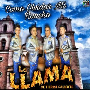 Download track Dale Y Dale La Llama De Tierra Caliente