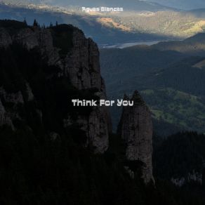 Download track Think For You Aguas Blancas