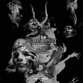 Download track Lies Insect HumanPhannik