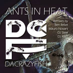 Download track Ants In Heat (Mauro Novani Remix) DaCrazyFishMauro Novani