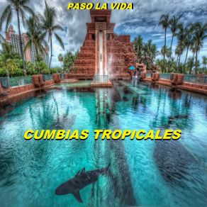 Download track Popurri Guarara Cumbias Tropicales