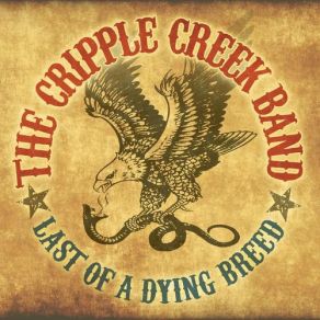 Download track The Night They Drove Old Dixie Down Ccb