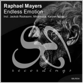 Download track Endless Emotion (Original Mix) Raphael Mayers