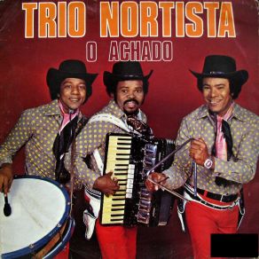 Download track Eu Sei De Tudo Trio Nortista