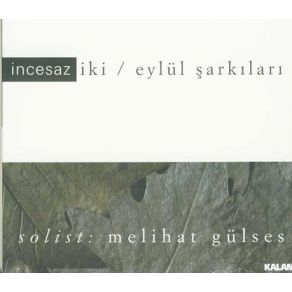 Download track Ateşli Gözlerinin Seyrine Daldım İncesaz