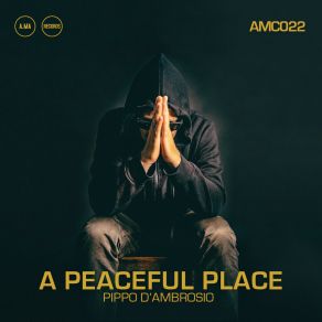 Download track A Peaceful Place Domenico CartagoGianluca Luisi, Alberto Parmegiani