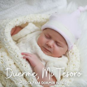 Download track Luna Serenata Musica Para Dormir Bebes