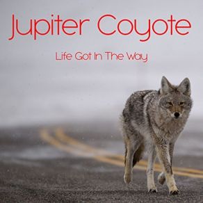 Download track Swamp Funk Fifolet Jupiter Coyote