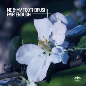 Download track Fair Enough (Sons Of Maria Remix) Me My Toothbrush