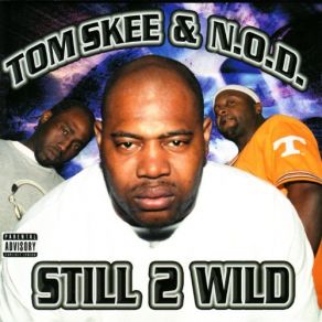 Download track Shake It Tom Skee, N. O. D.