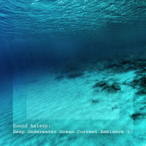 Download track Deep Underwater Ocean Current Ambience, Pt. 19 Elijah Wagner