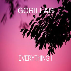 Download track Everything I Gorillag