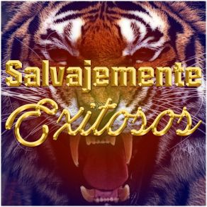 Download track El Pobre Palomo Selva Negra