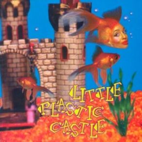 Download track Little Plastic Castle Ani DiFranco