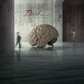 Download track Cygnus X-1: Book II Hemispheres - The Sphere (A Kind Of Dream) (Live At Pinkpop Festival, Netherlands / 1979) Rush, Rush Rush