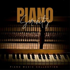 Download track Instrumental Piano Music The Music Collection