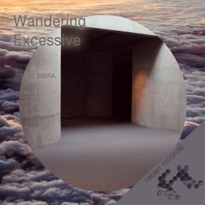 Download track Wandering Steve Sibra