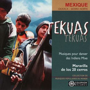 Download track El Rebozo Maravilla De Los 20 Cerros