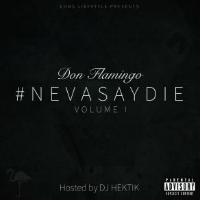 Download track Never Say Die Intro Don Flamingo