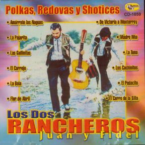 Download track Flor De Abril Los Dos Rancheros