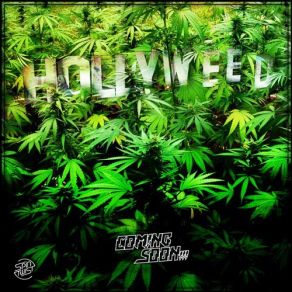 Download track Hollyweed Coming Soon