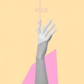 Download track Vole (Offramp Remix) Oria